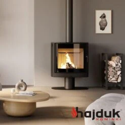 Elipse F1 Kaminofen 9kW Schwarz 8 Elipse F1 Kaminofen 9kW Schwarz -Derofenfuchs Verkäufe elipse f1 kaminofen schwarz int 1280x1280