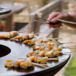 Gartenkamin Plancha Grill PIO100 Schwarz -Derofenfuchs Verkäufe plancha grill feuercampus365 pio detail1 1280x1280