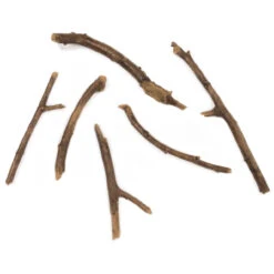 Harz Holzstücke 6 Stück Für Elektro Kamine